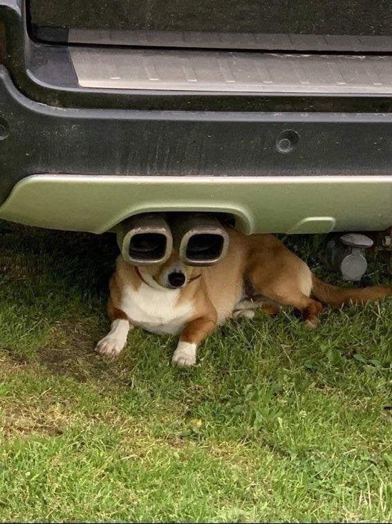 opticalillusions9_008