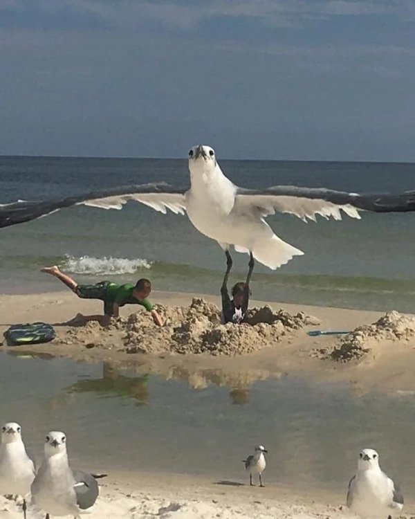 opticalillusions9_017