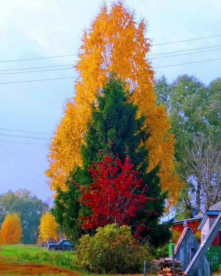randompics1026_054