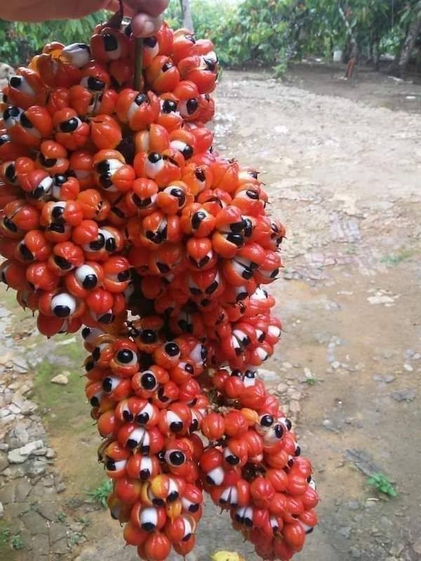 randompics1043_079