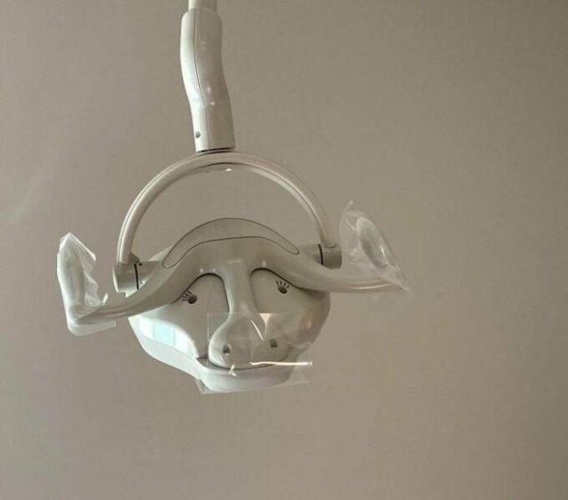 randompics1049_071