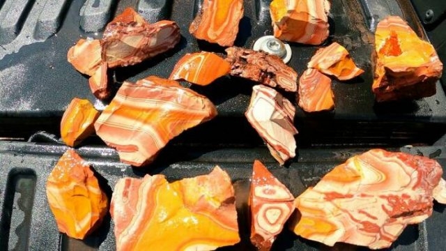 randompics1059_077
