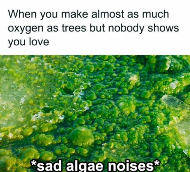 sciencememes9_005