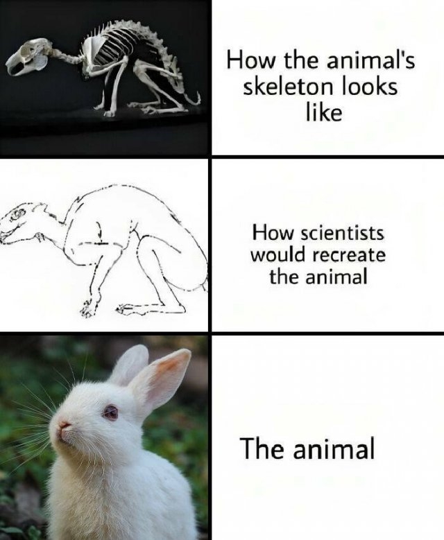 sciencememes9_009