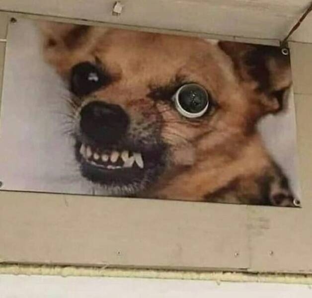 strangedesigns29_003