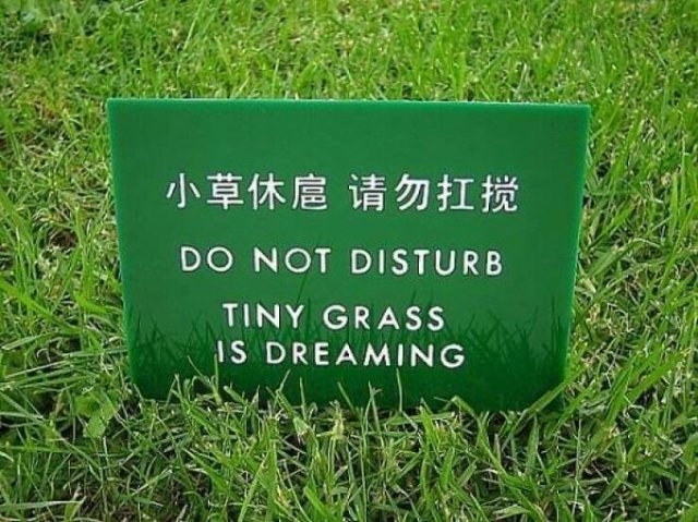 badtranslations5_035