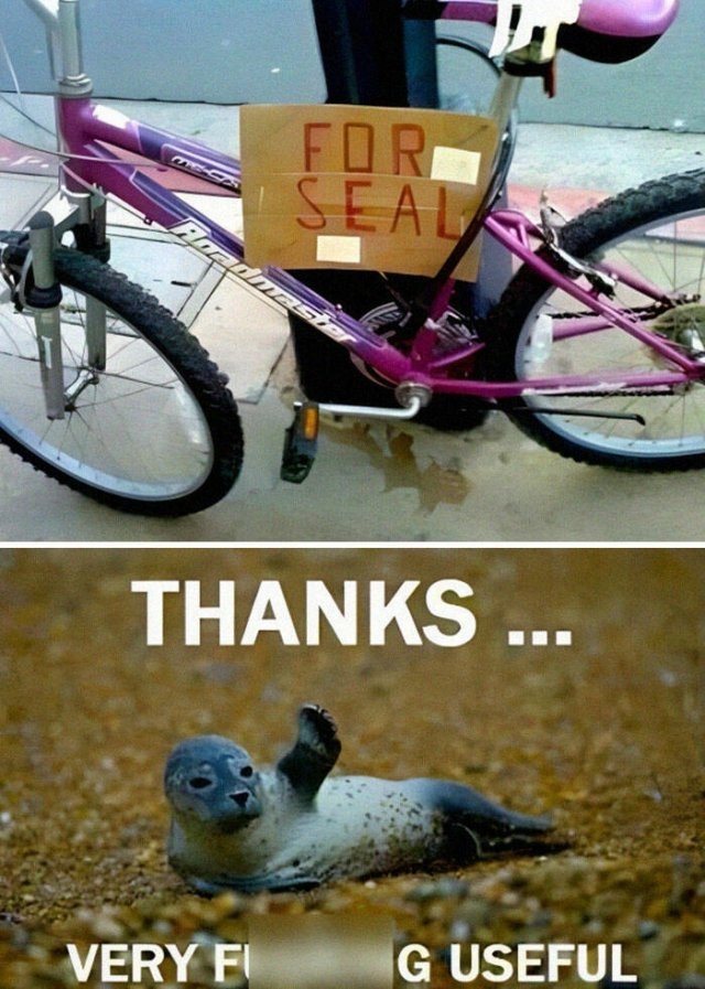 badtranslations5_036