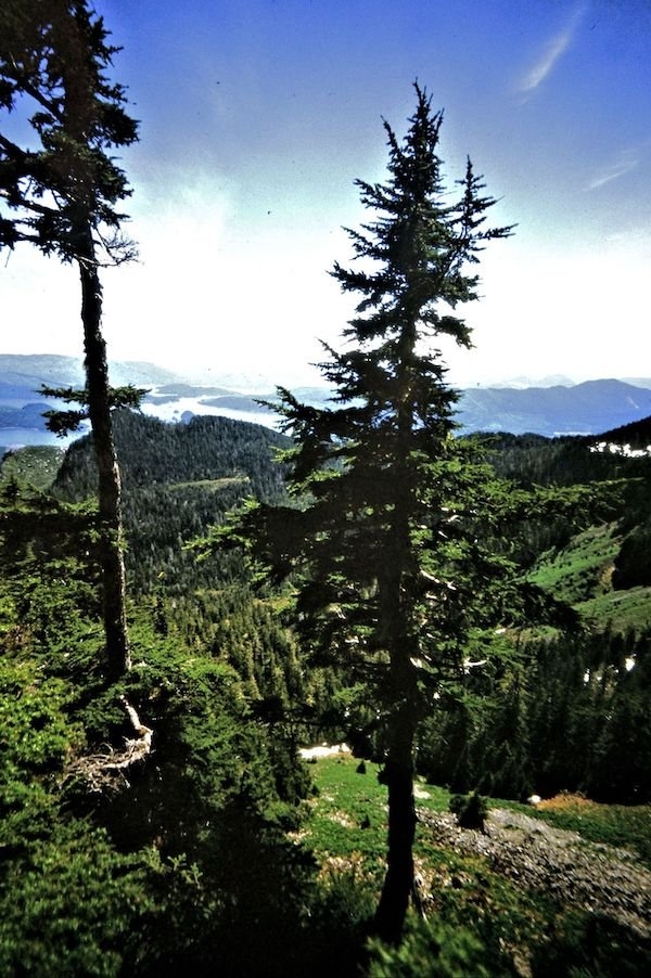 beautifulgirls314_005