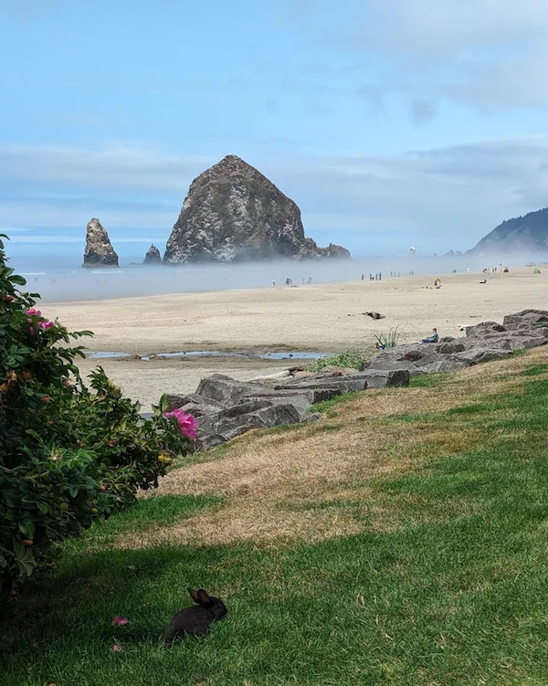 beautifulgirls314_034