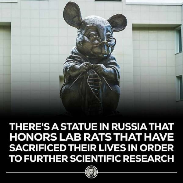 interestingfacts77_001