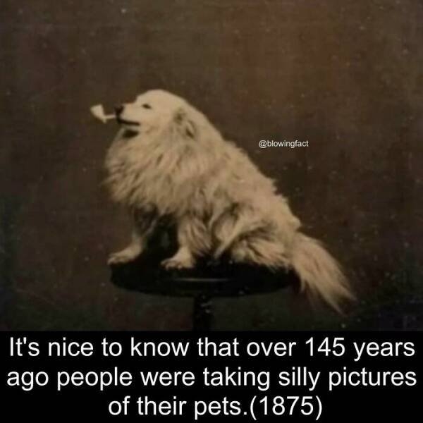 interestingfacts77_007