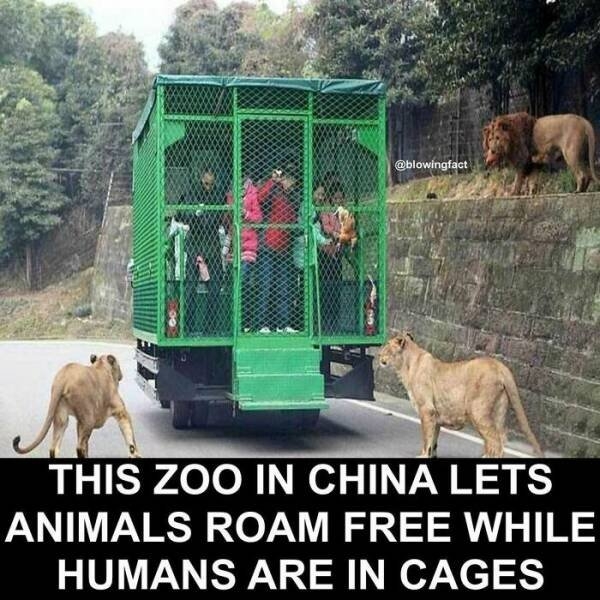 interestingfacts77_011