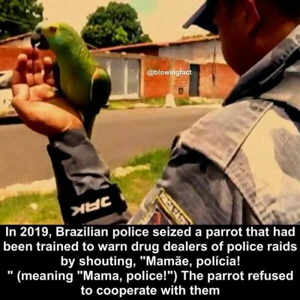 interestingfacts77_014