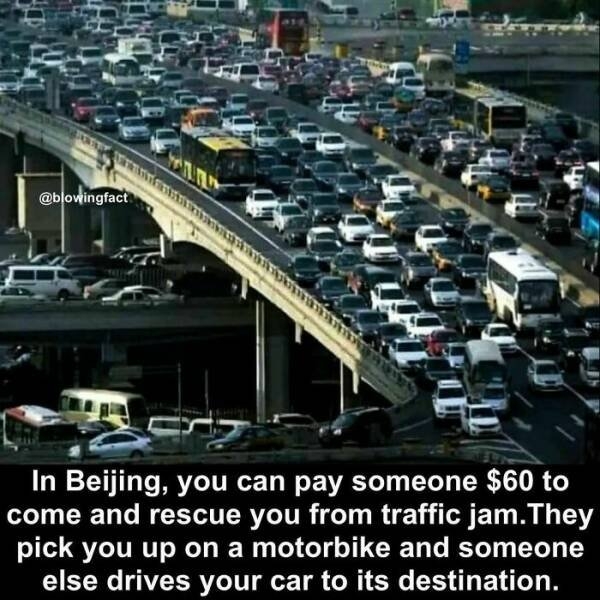 interestingfacts77_015