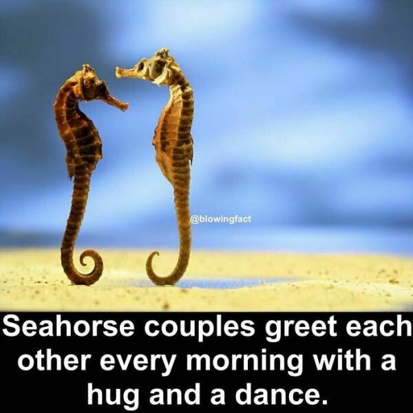 interestingfacts77_018