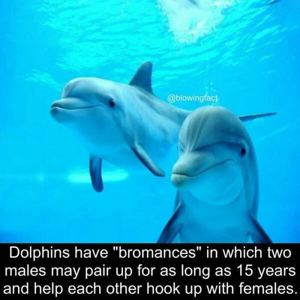 interestingfacts77_021