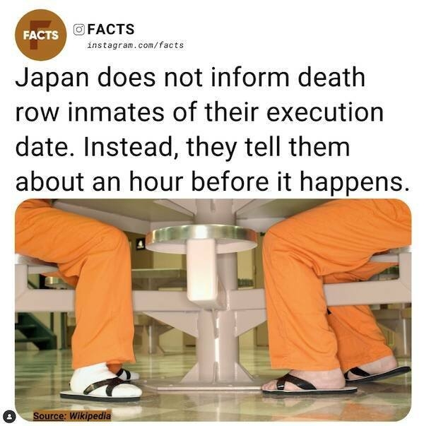 interestingfacts78_003