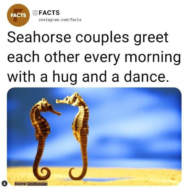 interestingfacts78_004