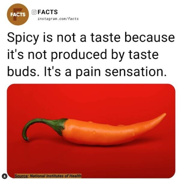 interestingfacts78_006