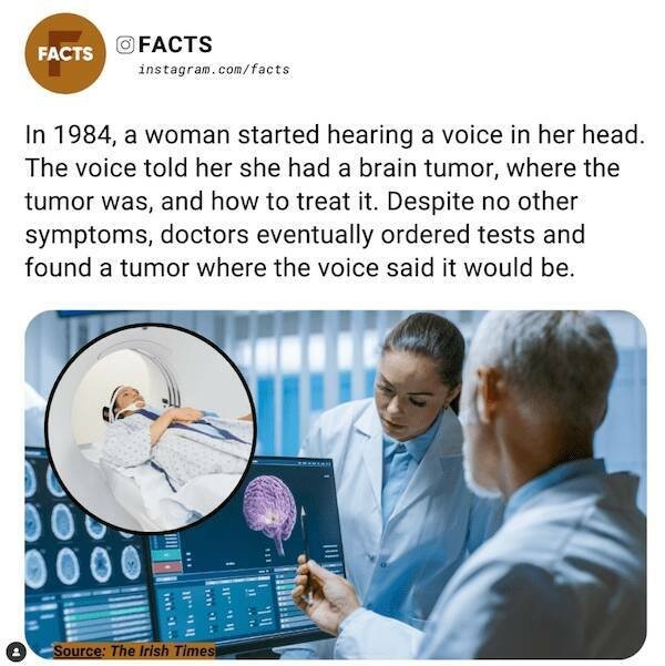 interestingfacts78_015