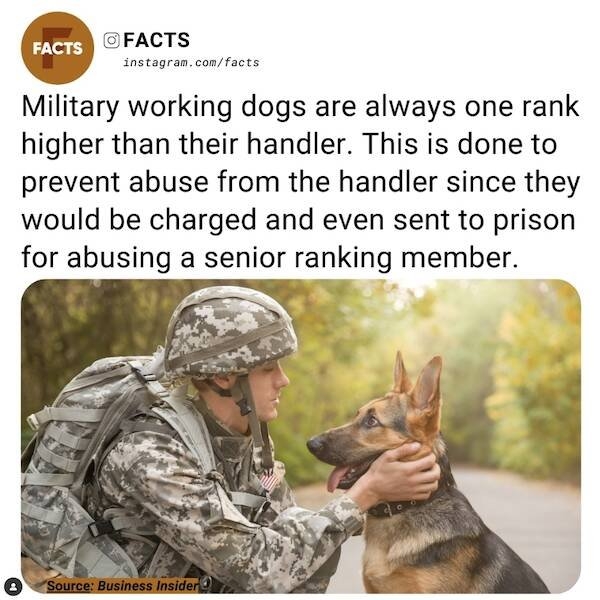 interestingfacts78_022