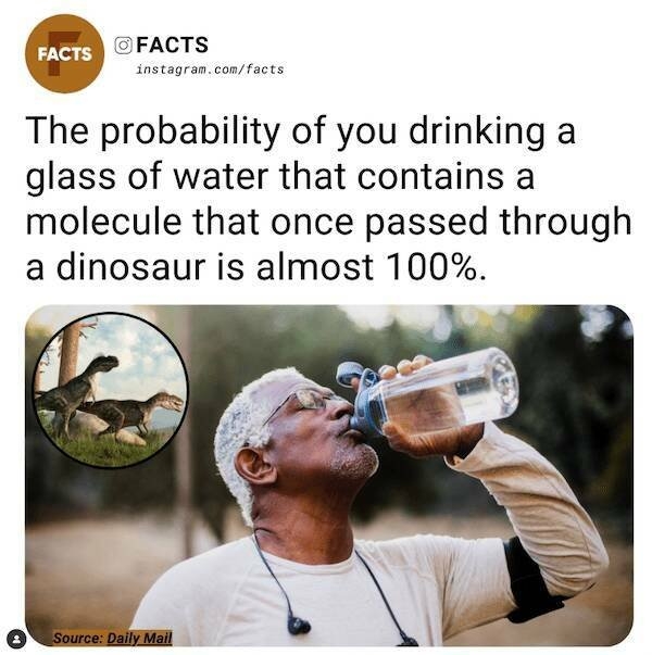 interestingfacts78_025