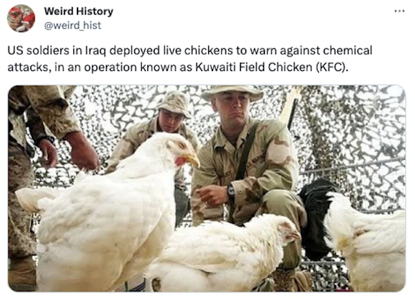 interestingfacts79_016