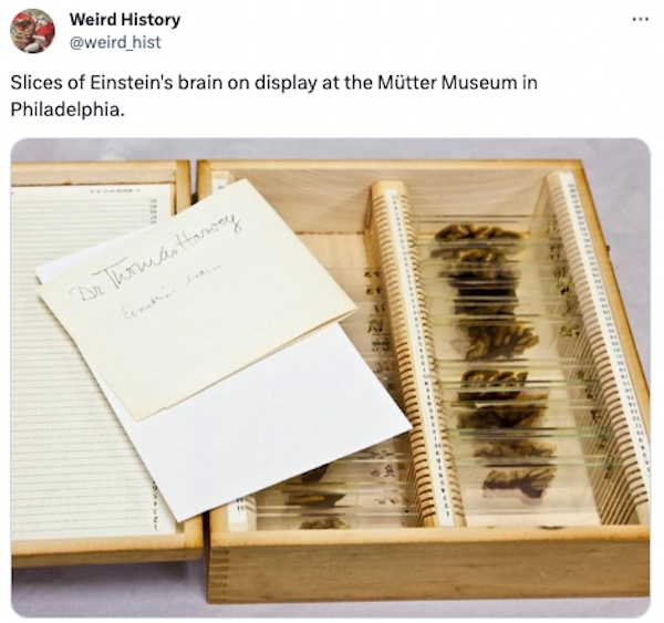 interestingfacts79_018