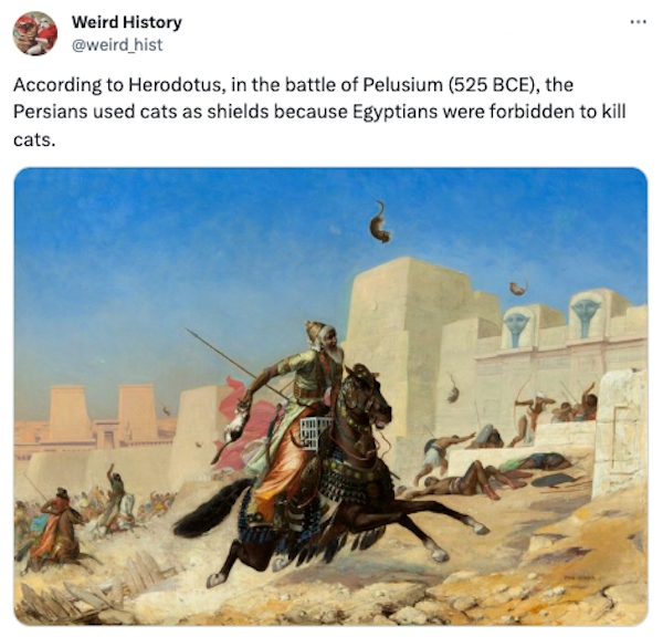 interestingfacts79_020