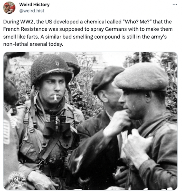 interestingfacts79_031