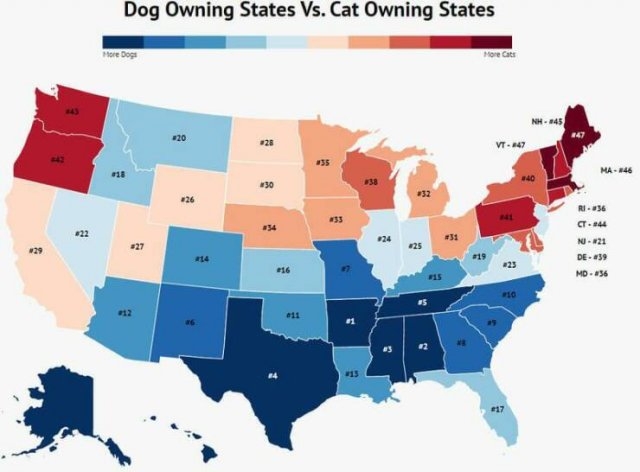 interestingmaps7_021
