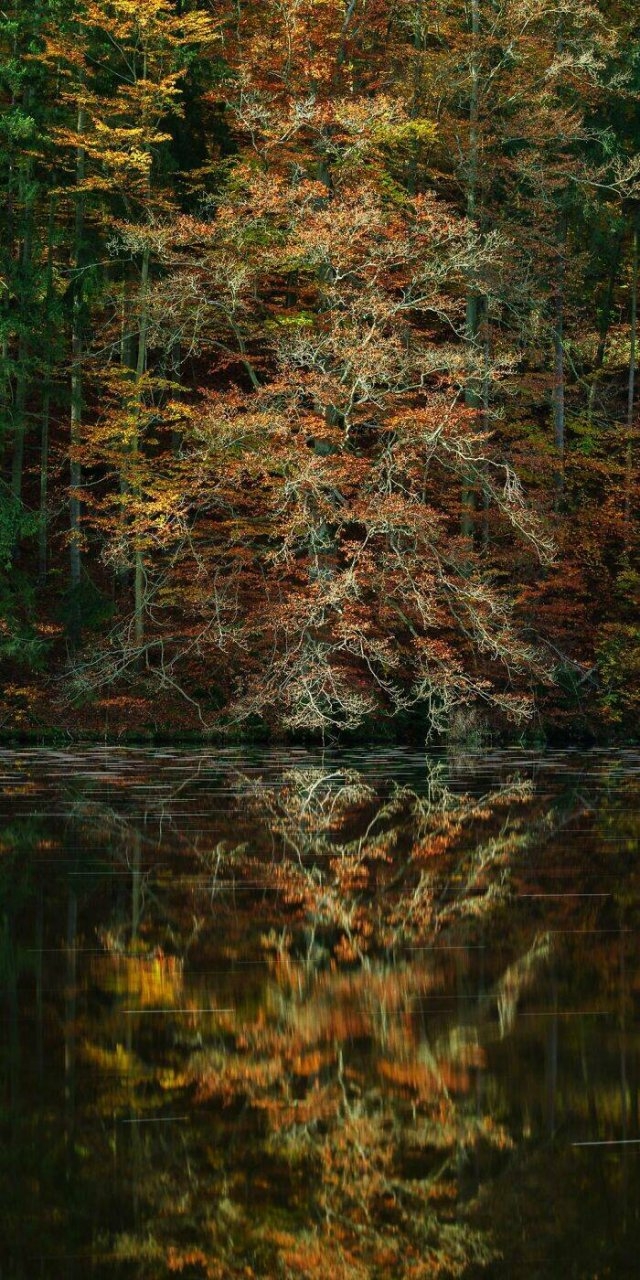 naturephotos25_002