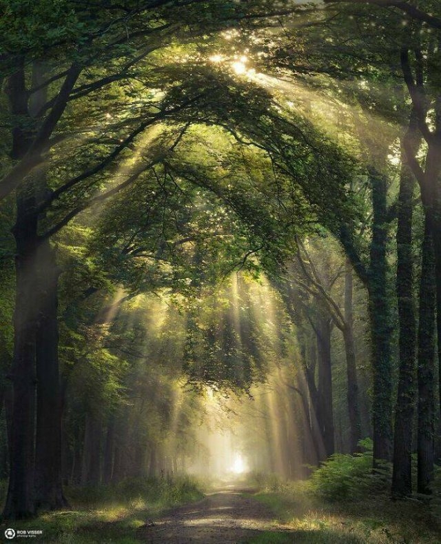 naturephotos25_003