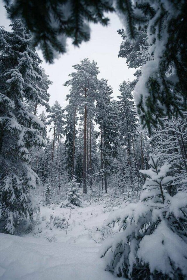 naturephotos25_006