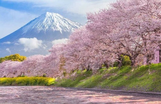 naturephotos25_007