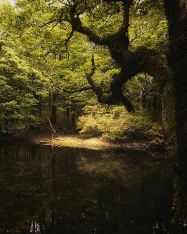 naturephotos25_008