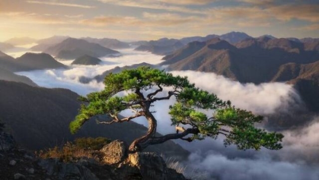 naturephotos25_009