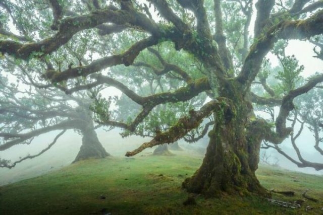naturephotos25_010