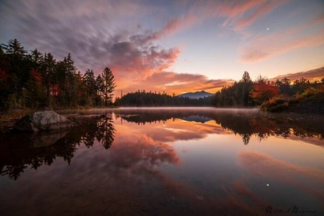 naturephotos25_011
