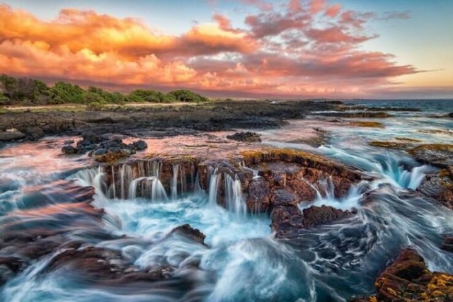 naturephotos25_012