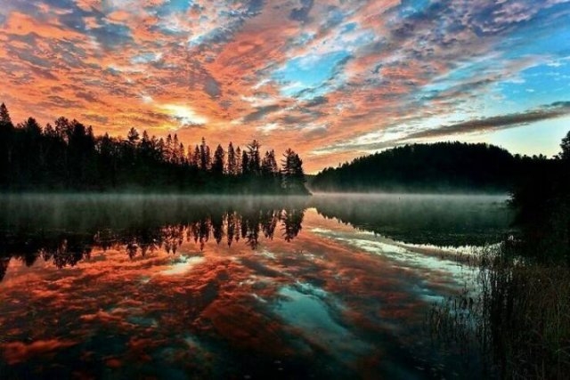 naturephotos25_013