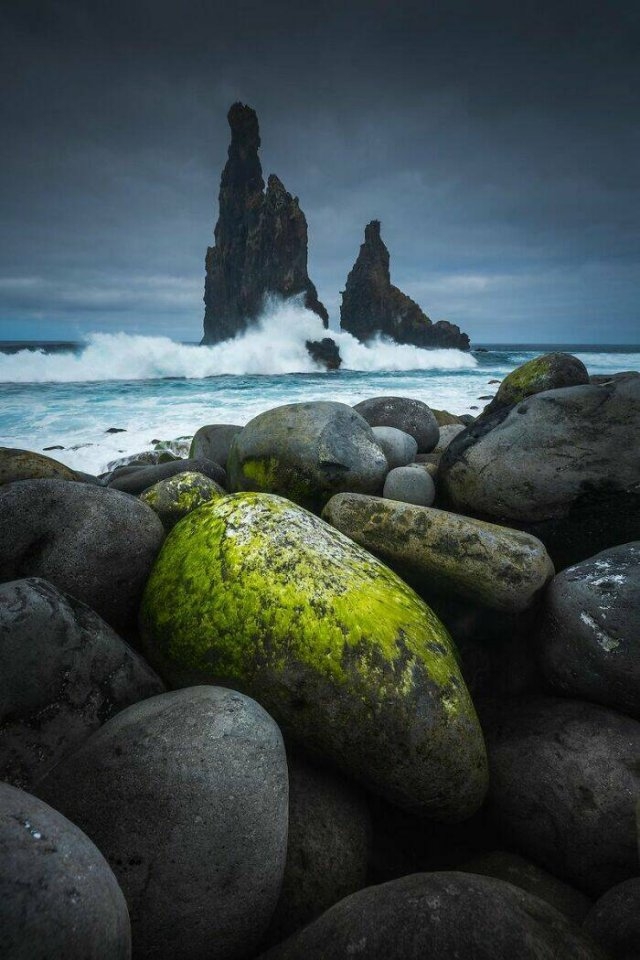 naturephotos25_018