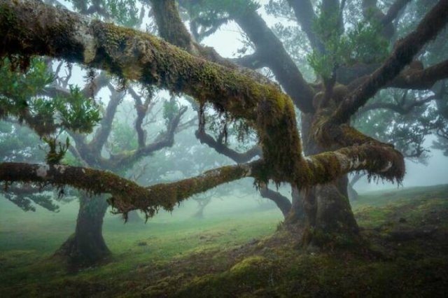 naturephotos25_020