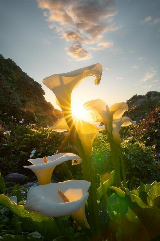 naturephotos25_021