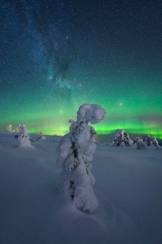 naturephotos25_022