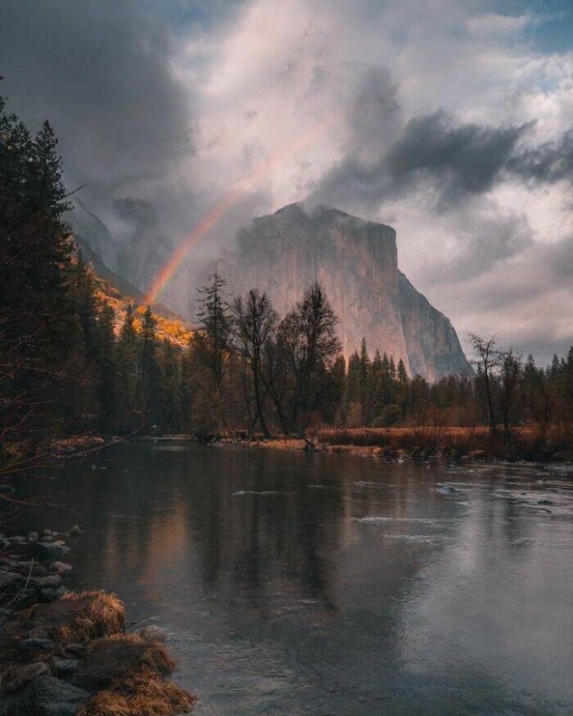 naturephotos25_024
