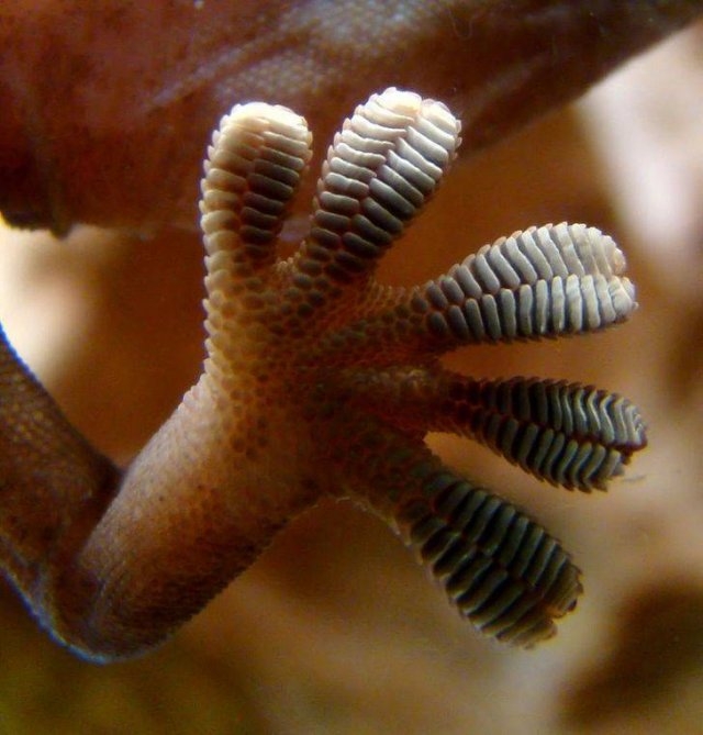 naturephotos25_028