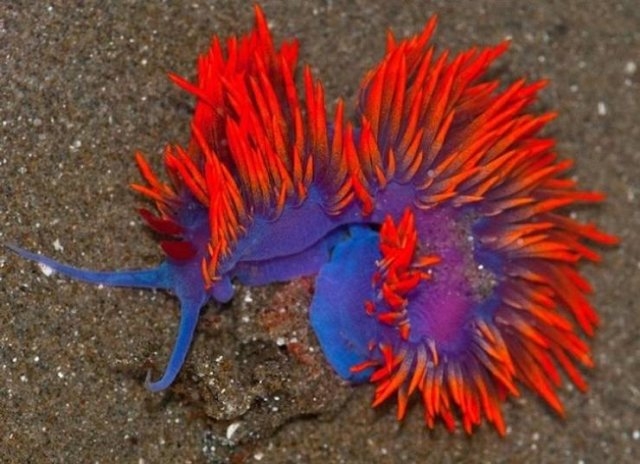 naturephotos25_034