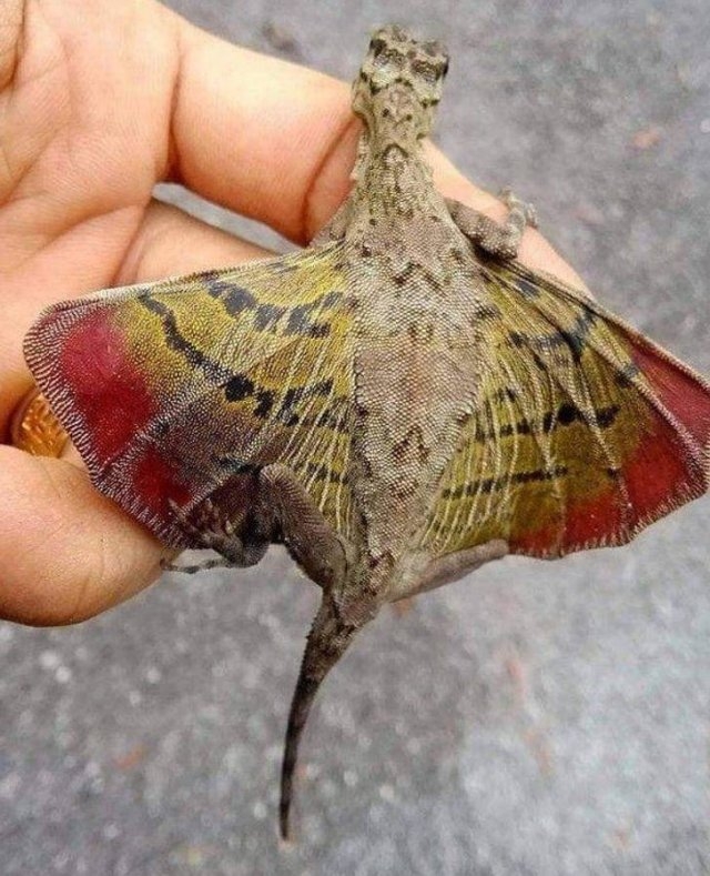 naturephotos25_040
