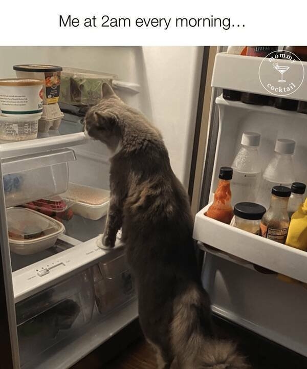 parentingmemes11_002